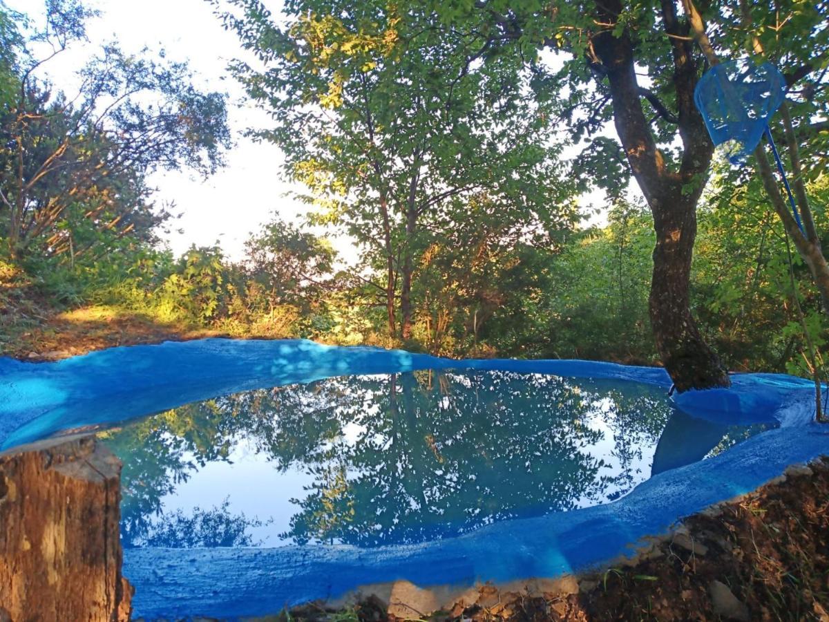 @Gatetothewild Bed & Breakfast Coreglia Ligure Ngoại thất bức ảnh