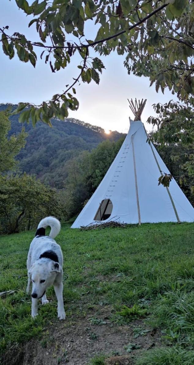 @Gatetothewild Bed & Breakfast Coreglia Ligure Ngoại thất bức ảnh
